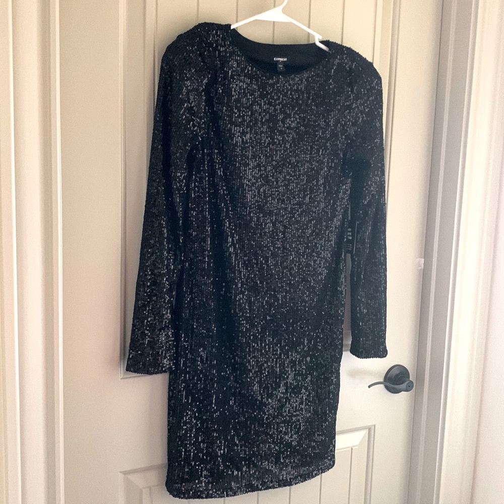 Express sequin long sleeve dress